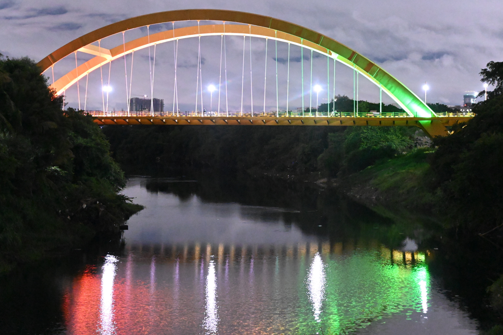 Butterfly Bridge